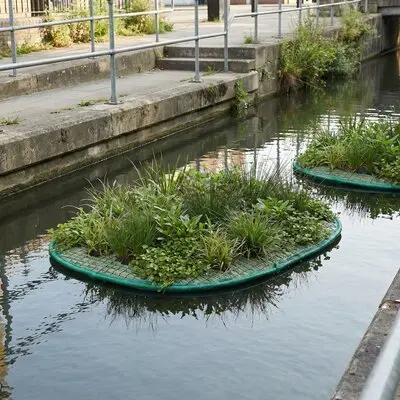 Ovale bepflanzte Schwimminsel in einem städtischen Stillgewässer